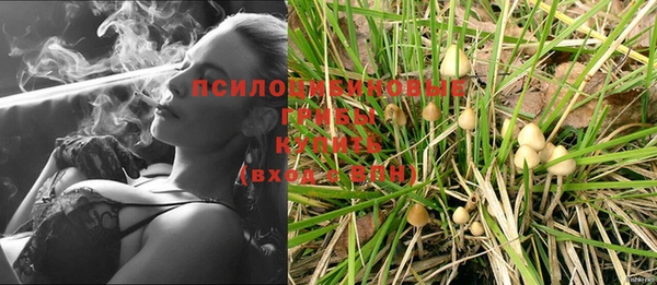 винт Богородск