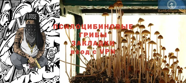 трава Богородицк