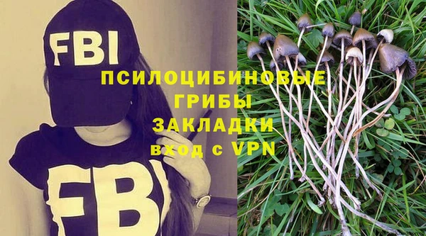 соль курить ск Богданович
