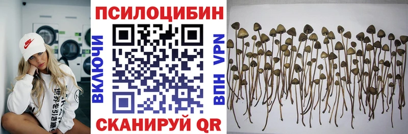 Псилоцибиновые грибы прущие грибы  Купить  Ликино-Дулёво 